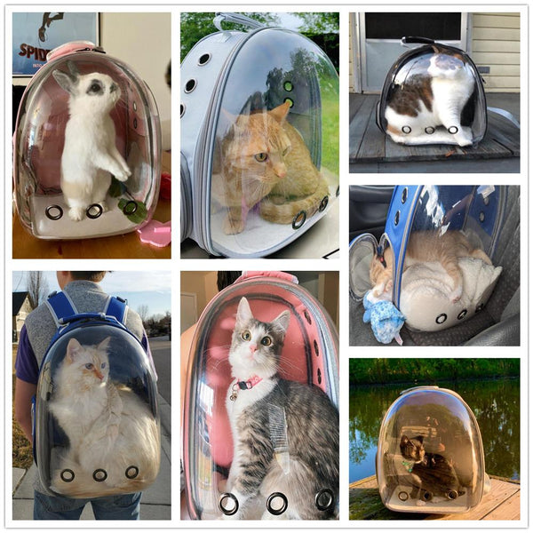 Breathable Pet Carriers Small Dog / Cat Backpack Travel Space Capsule